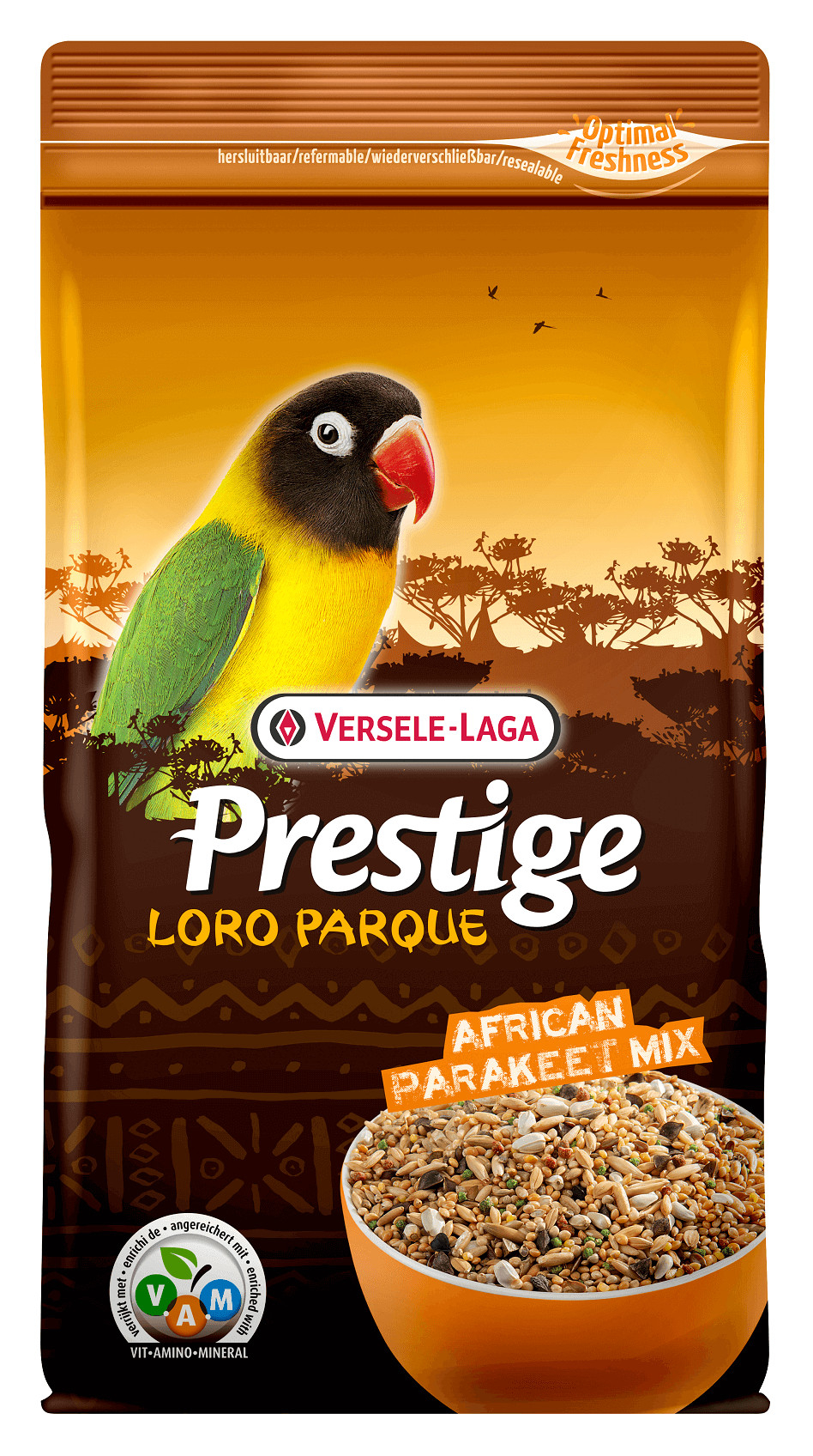 Prestige Premium African Parakeet