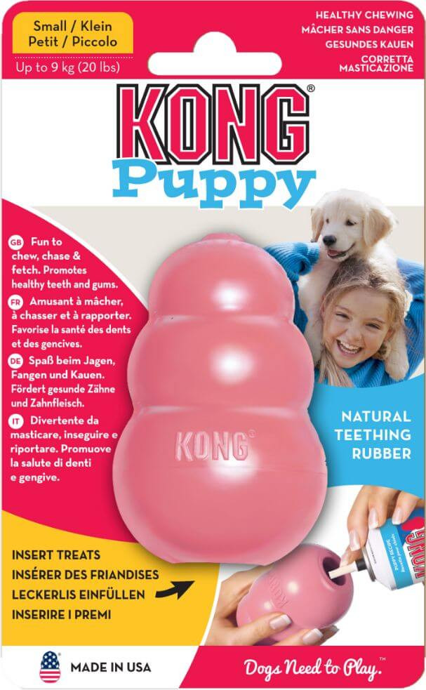 Kong Puppy