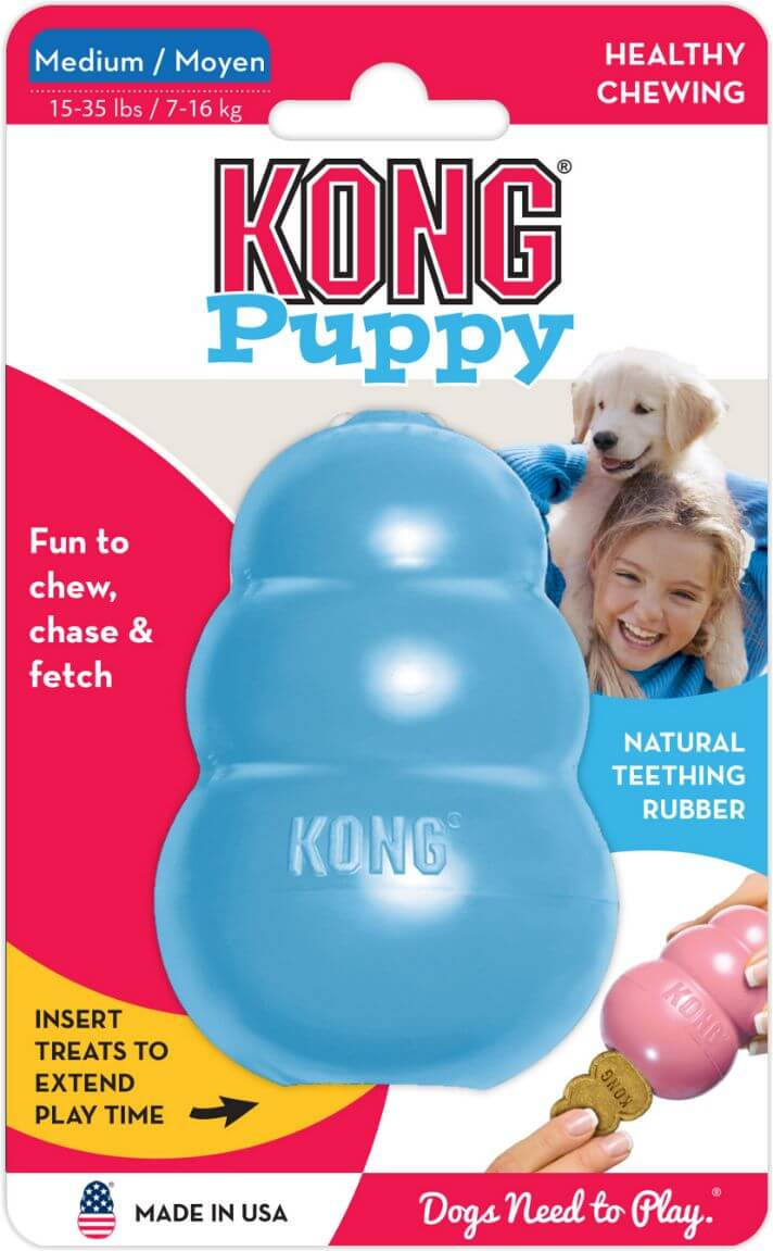 Kong Puppy