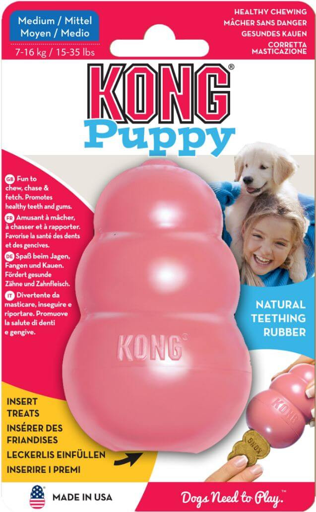 Kong Puppy