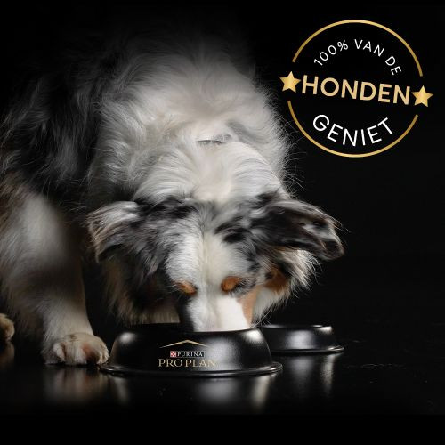 Purina Pro Plan Mobility+ kosttillskott för hund (pulver 60 g)