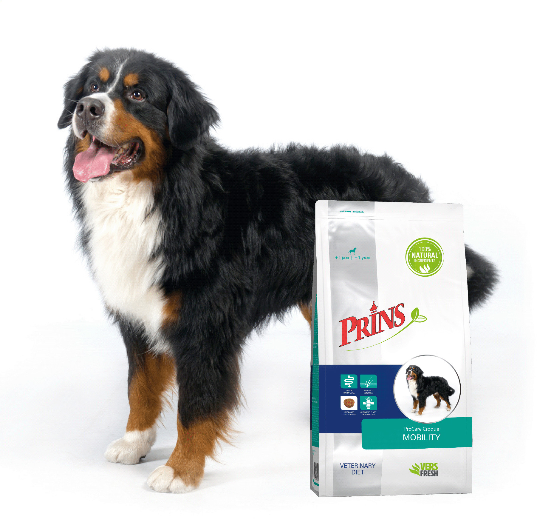 Prins ProCare Croque Veterinary Diet Mobility hundfoder