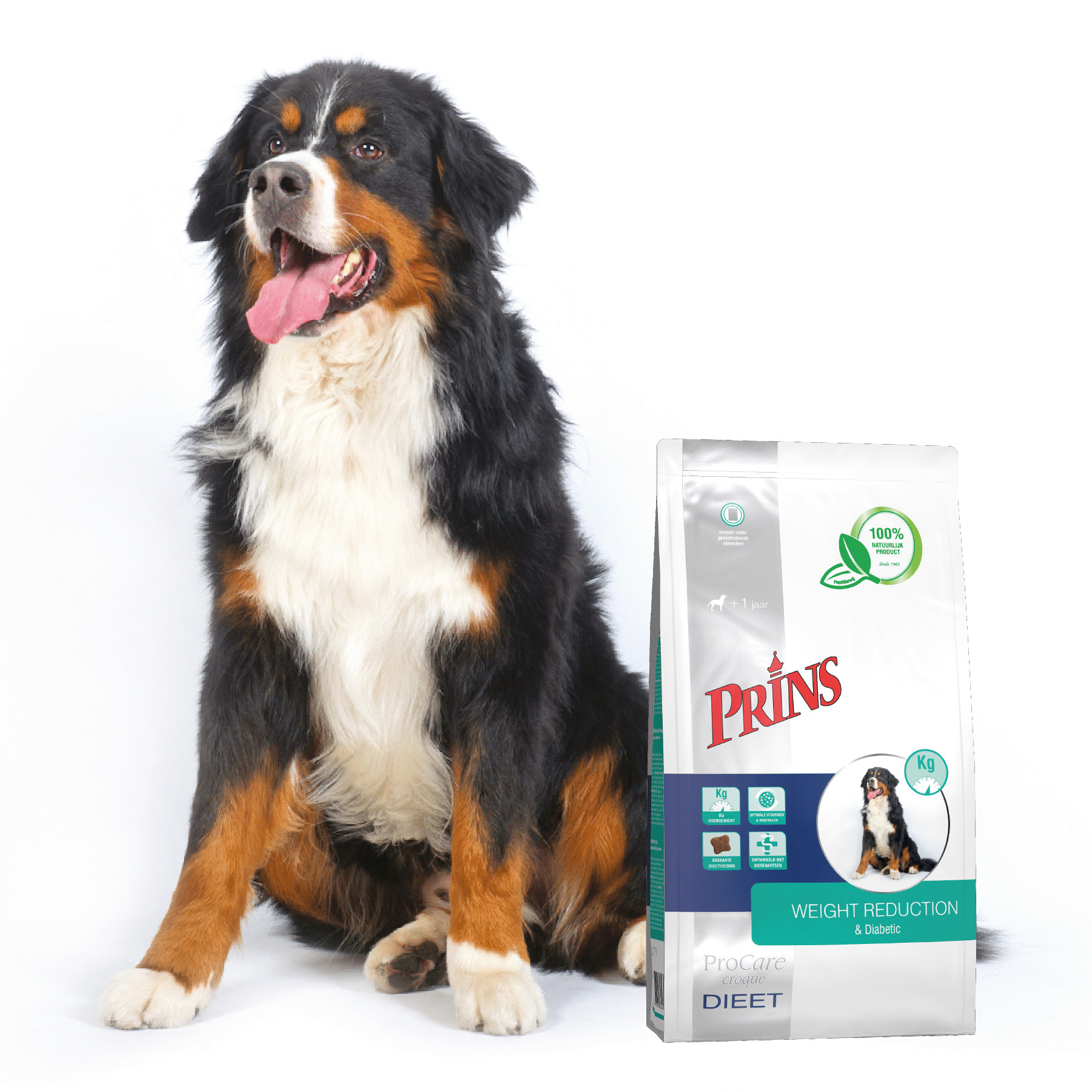 Prins ProCare Croque Diet Weight Reduction & Diabetic hundfoder