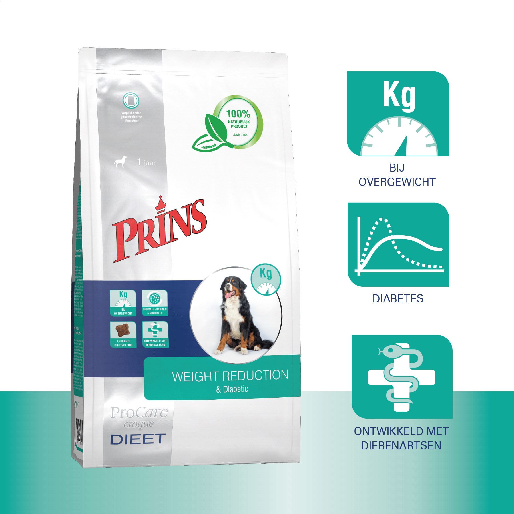 Prins ProCare Croque Diet Weight Reduction & Diabetic hundfoder