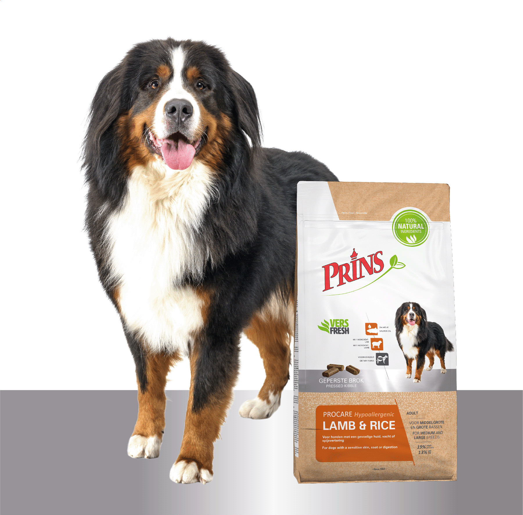 Prins ProCare Hypoallergenic med lamm och ris hundfoder