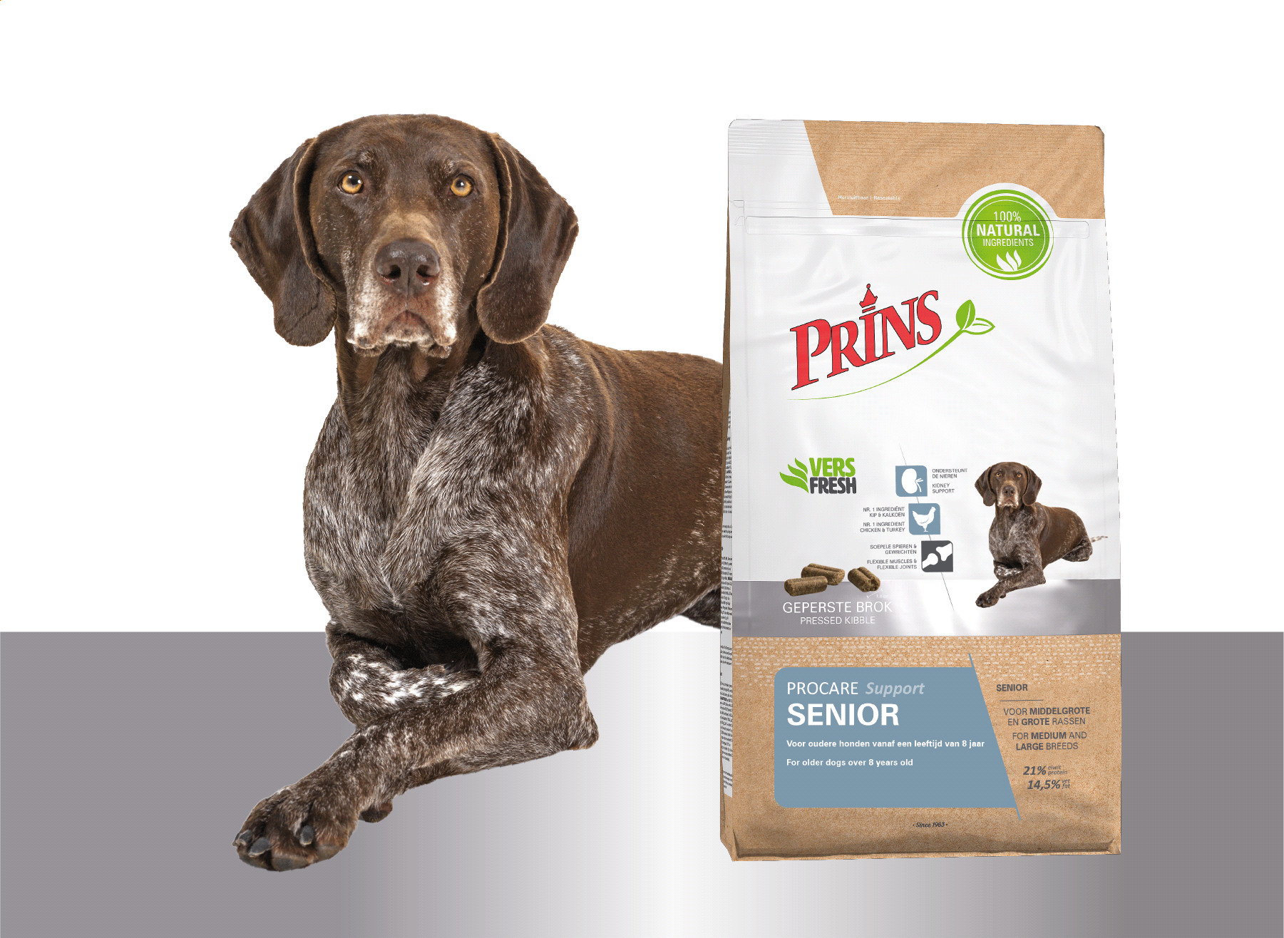 Prins ProCare Senior Support hundfoder