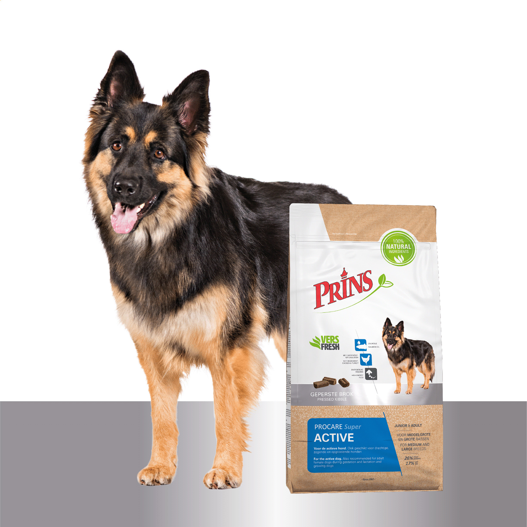 Prins ProCare Super Active hundfoder