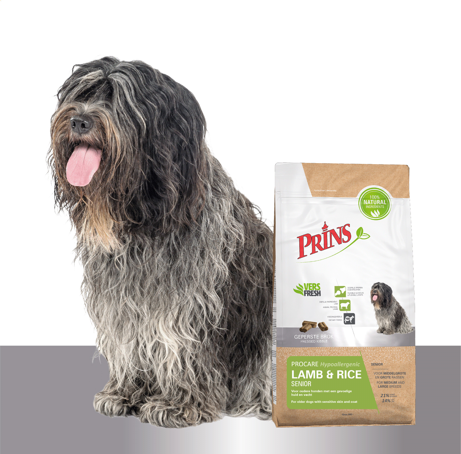 Prins ProCare Senior Hypoallergenic med lamm och ris hundfoder