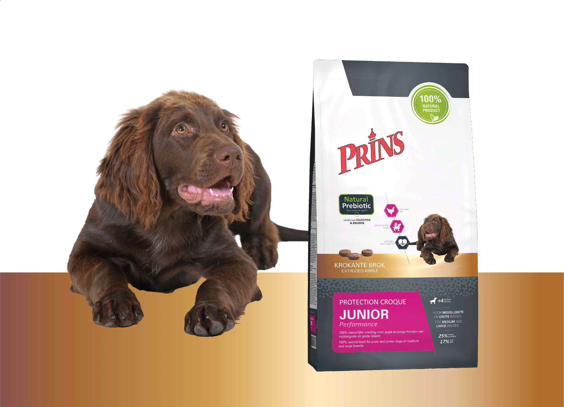 Prins Protection Croque Junior Performance hundfoder