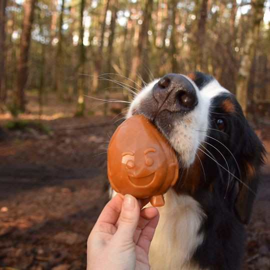 Garden Bites Fruity Friends hundgodis