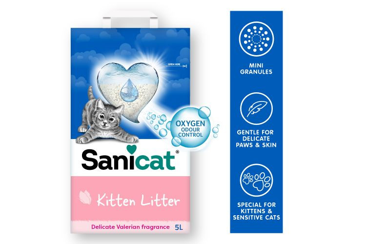 Sanicat Kitten kattsand