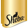 Sheba kattgodis